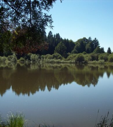 Goppoldsrieder See (Nockerweiher)